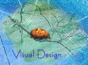 Visual Design
